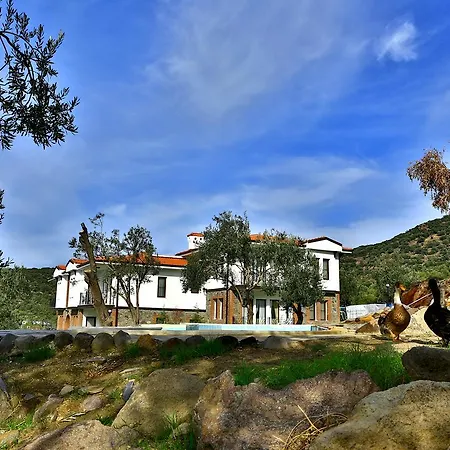 Merada Termal Tatil Koyu 3* Dikili