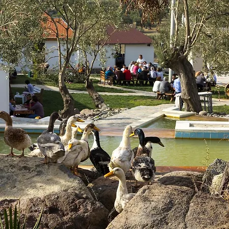 Merada Termal Tatil Koyu 3* Dikili