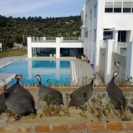 Merada Termal Tatil Koyu 3* Dikili