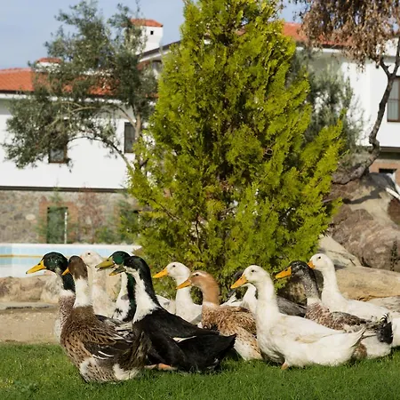 Rezort Merada Termal Tatil Koyu 3*
