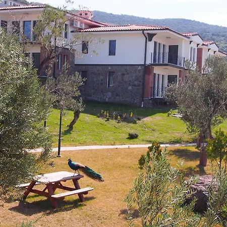 Merada Termal Tatil Koyu 3* Dikili